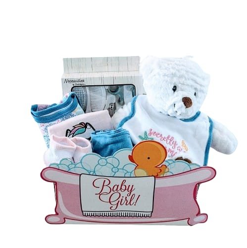 Baby gift baskets, newborn baby, baby girl, baby boy, welcome baby, Baby gifts, baby gift baskets,